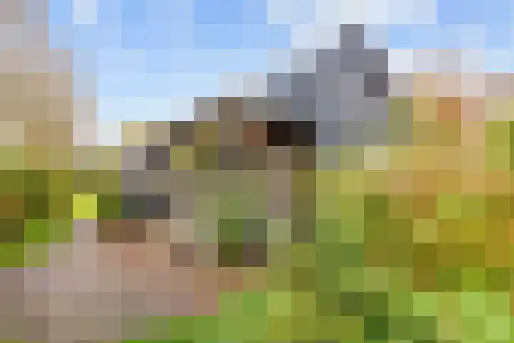 Hoofdweg 58 Schildwolde thumbnail 72