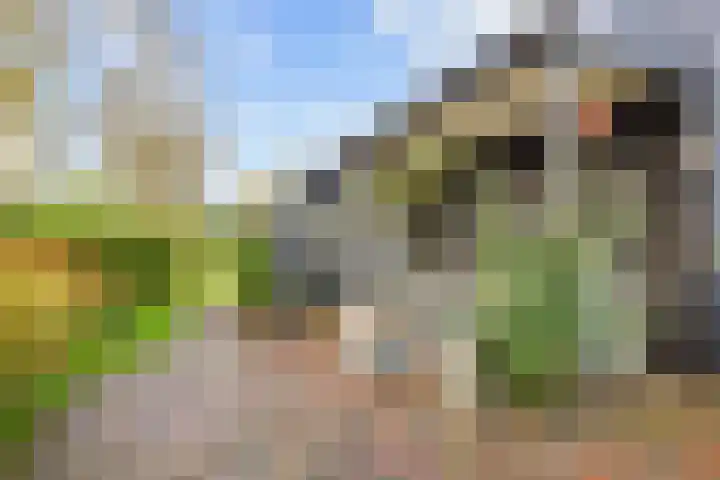 Hoofdweg 58 Schildwolde thumbnail 73
