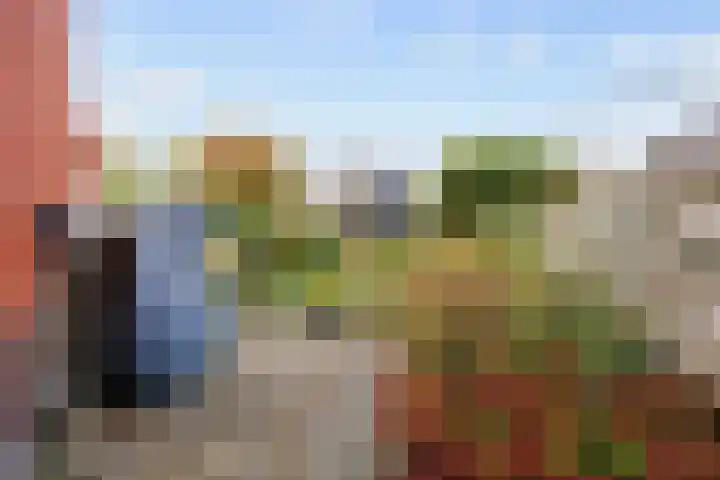 Hoofdweg 58 Schildwolde thumbnail 9