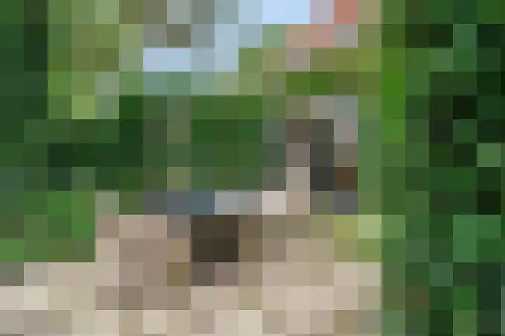 Hoofdweg 59 Blijham thumbnail 16