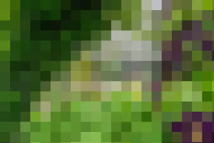 Hoofdweg 59 Blijham thumbnail 22