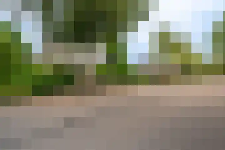 Hoofdweg 59 Blijham thumbnail 6