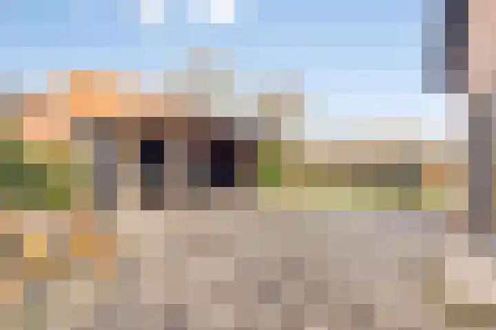 Hoofdweg 59 Steenbergen thumbnail 43