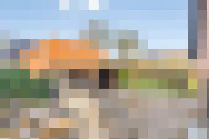 Hoofdweg 59 Steenbergen thumbnail 44