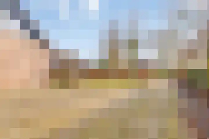Hoofdweg 59 Steenbergen thumbnail 57