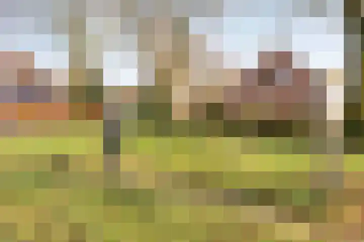 Hoofdweg 59 Steenbergen thumbnail 58