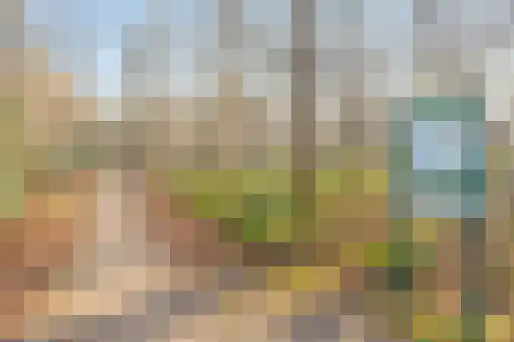 Hoofdweg 59 Steenbergen thumbnail 66