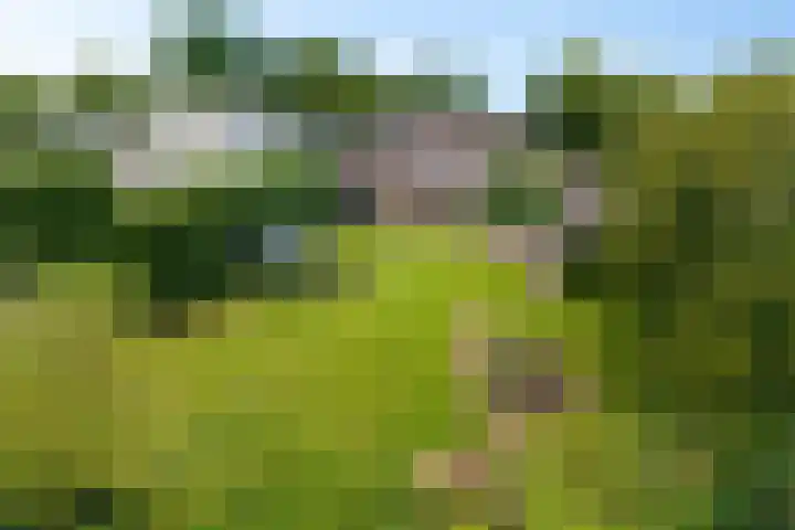 Hoofdweg 60 Smilde thumbnail 30