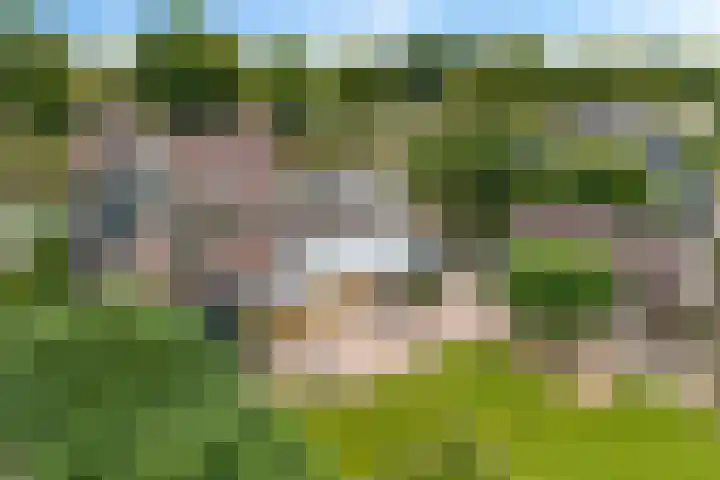 Hoofdweg 60 Smilde thumbnail 31