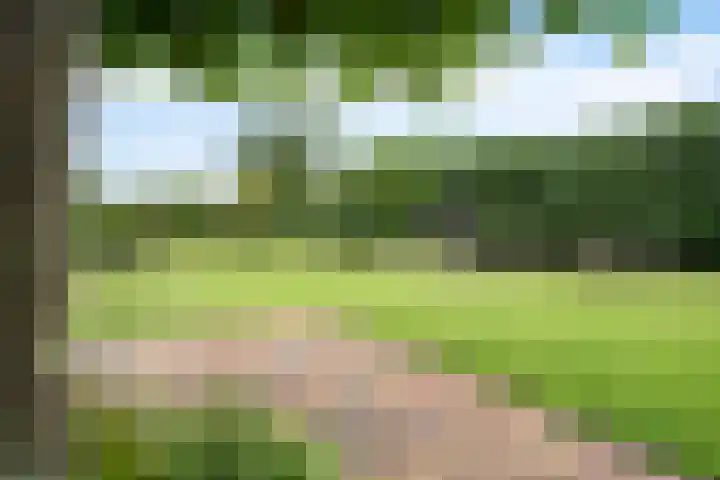 Hoofdweg 60 Smilde thumbnail 35