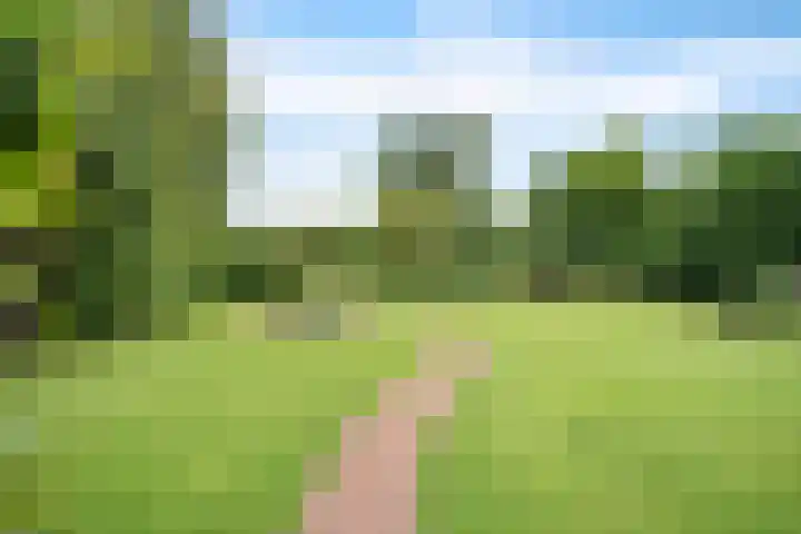Hoofdweg 60 Smilde thumbnail 36