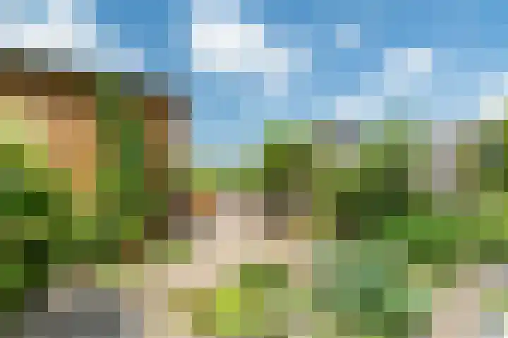 Hoofdweg 62 Smilde thumbnail 10