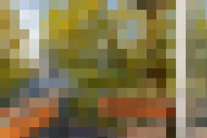 Hoofdweg 62 Smilde thumbnail 21