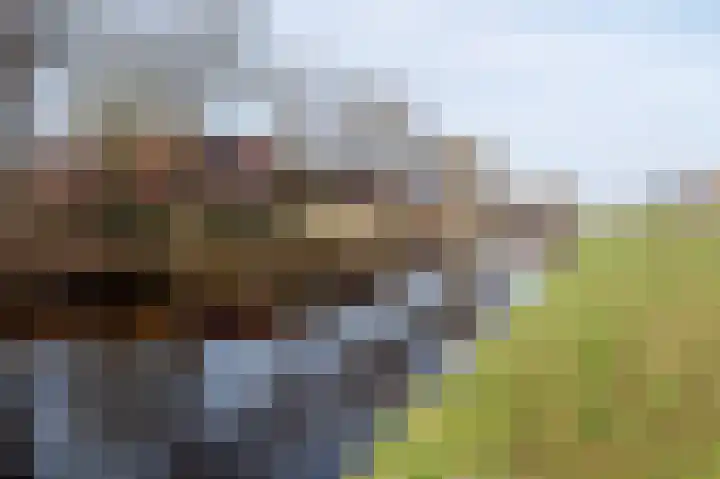 Hoofdweg 62 Smilde thumbnail 49