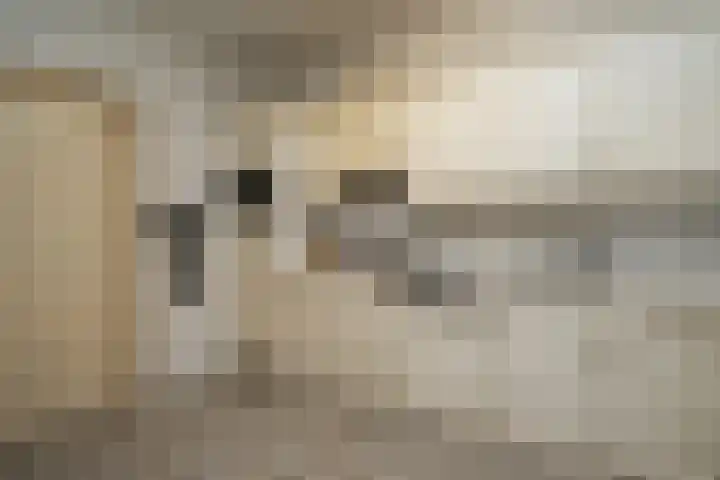 Hoofdweg 65 De Cocksdorp thumbnail 15