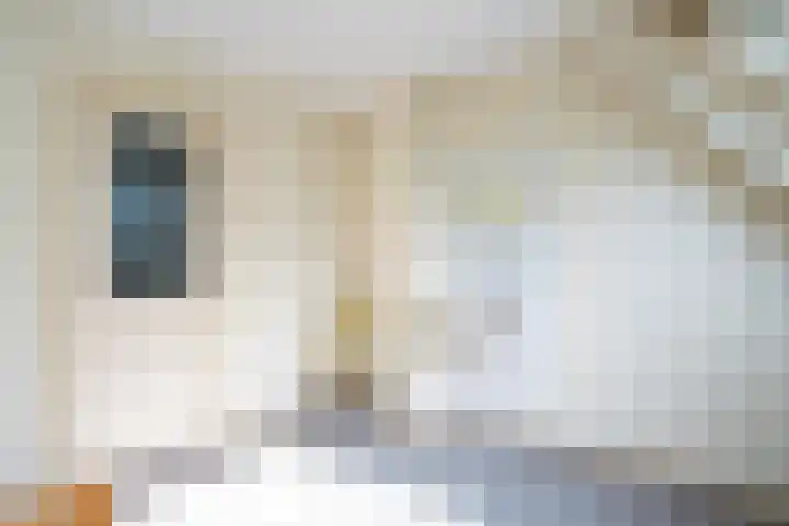 Hoofdweg 65 De Cocksdorp thumbnail 34