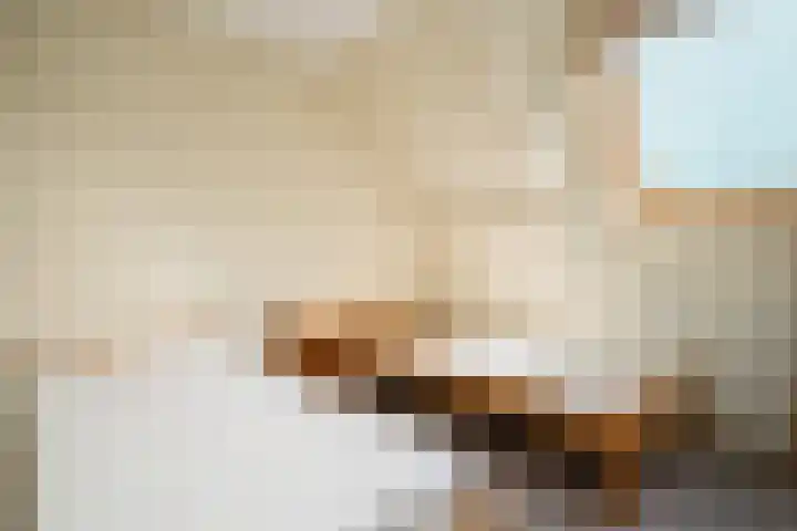 Hoofdweg 65 De Cocksdorp thumbnail 38