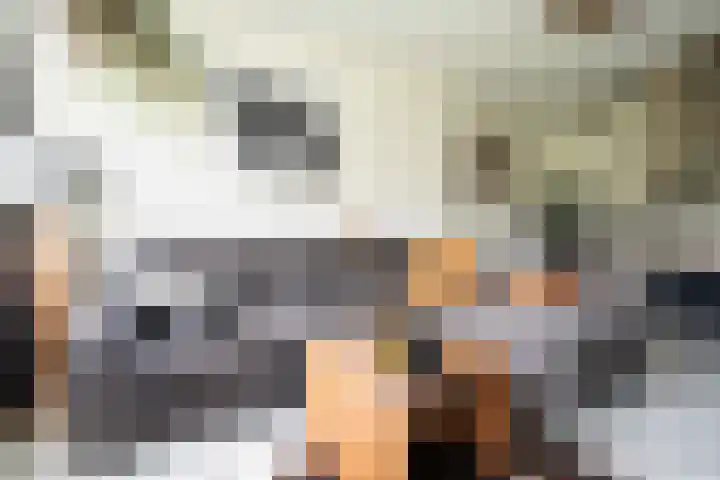 Hoofdweg 65 De Cocksdorp thumbnail 46