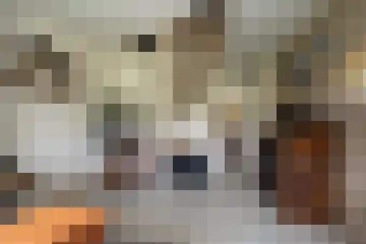 Hoofdweg 65 De Cocksdorp thumbnail 47