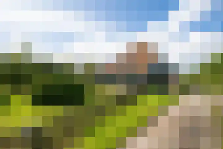 Hoofdweg 65 De Cocksdorp thumbnail 5
