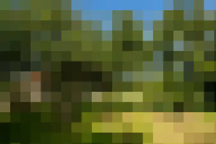 Hoofdweg 65 De Cocksdorp thumbnail 63