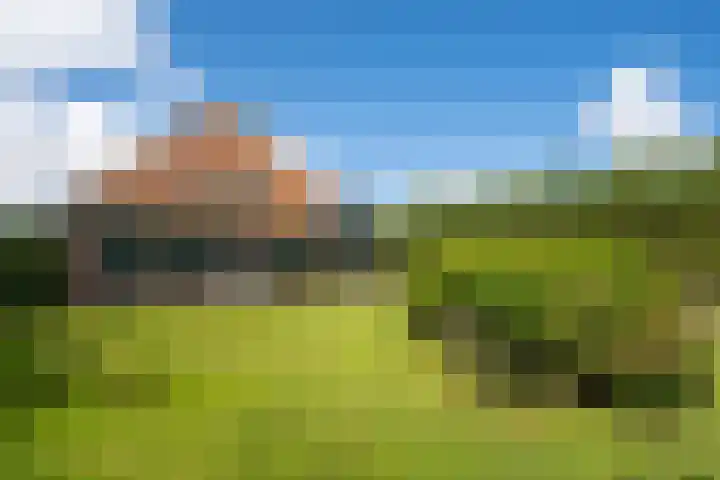 Hoofdweg 65 De Cocksdorp thumbnail 64