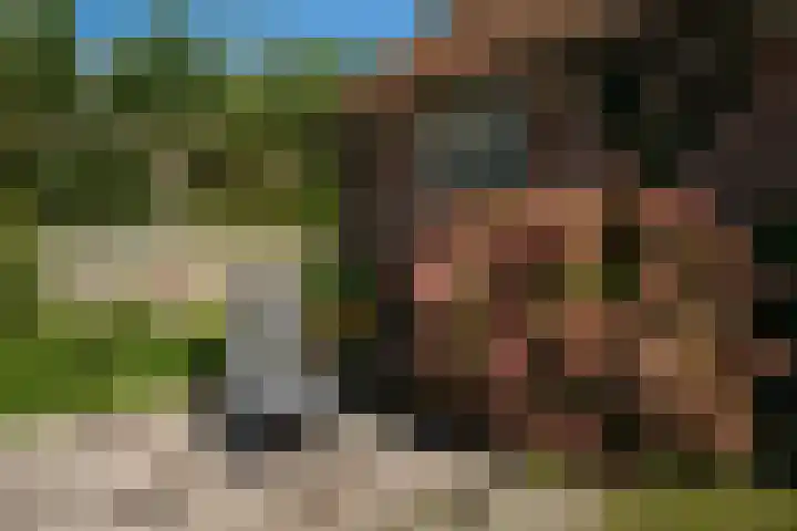 Hoofdweg 65 De Cocksdorp thumbnail 68
