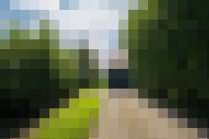 Hoofdweg 65 De Cocksdorp thumbnail 71