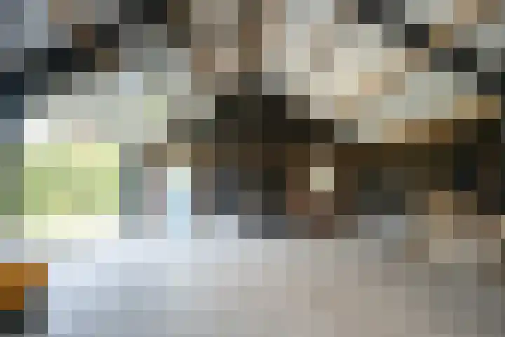 Hoofdweg 65 De Cocksdorp thumbnail 75