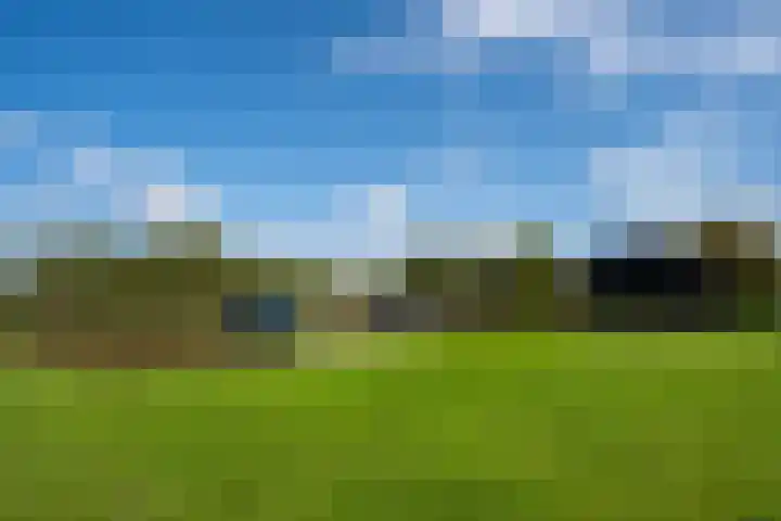 Hoofdweg 65 De Cocksdorp thumbnail 77