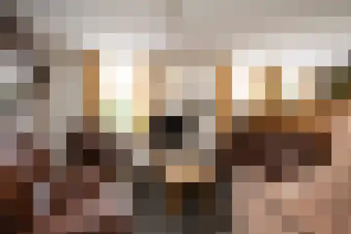 Hoofdweg 65 De Cocksdorp thumbnail 8