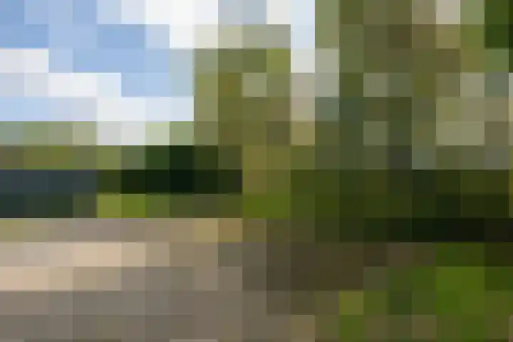 Hoofdweg 65 De Cocksdorp thumbnail 80