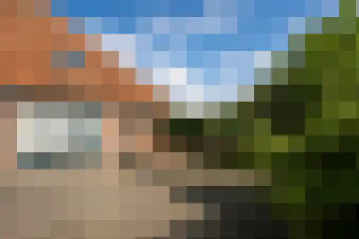 Hoofdweg 65 De Cocksdorp thumbnail 83