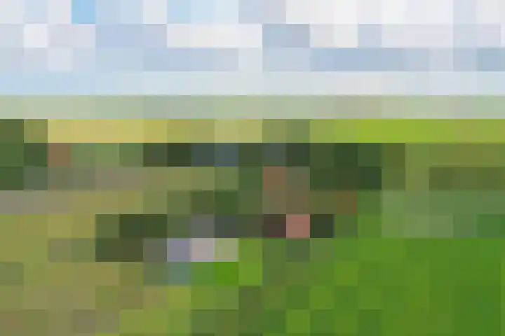 Hoofdweg 65 De Cocksdorp thumbnail 85