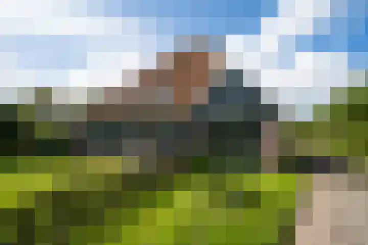 Hoofdweg 65 De Cocksdorp thumbnail 89
