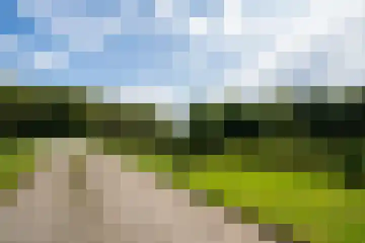 Hoofdweg 65 De Cocksdorp thumbnail 90
