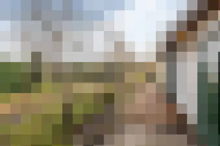 Hoofdweg 65 Siddeburen thumbnail 41