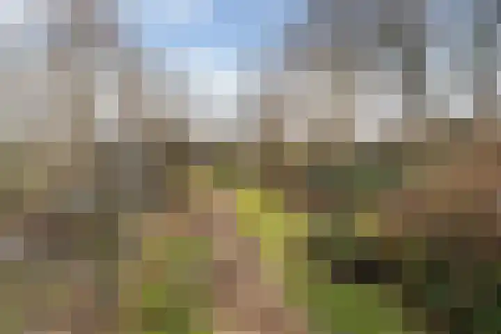 Hoofdweg 65 Siddeburen thumbnail 43