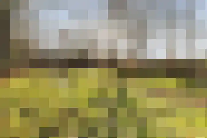 Hoofdweg 65 Siddeburen thumbnail 44