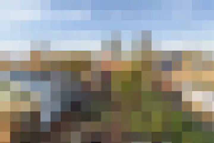 Hoofdweg 65 Siddeburen thumbnail 48