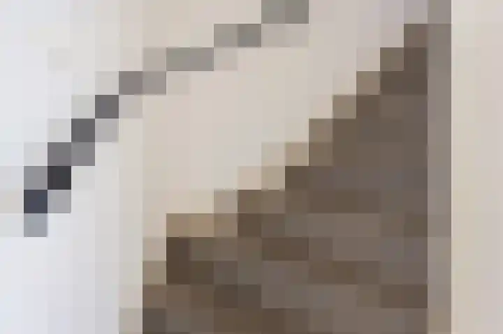 Hoofdweg 9 Echten thumbnail 44