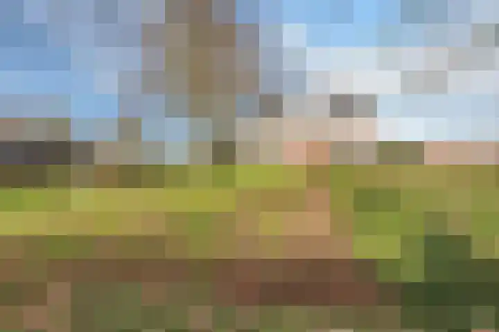 Hoofdweg 9 Echten thumbnail 9