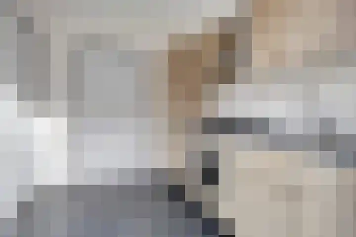 Hoofstraat 29 Terhole thumbnail 15