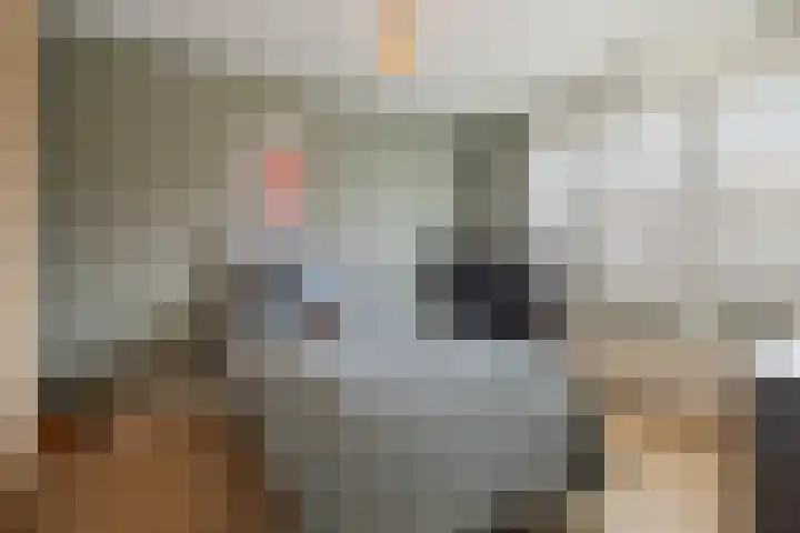 Hooftlaan 22 Bussum thumbnail 22