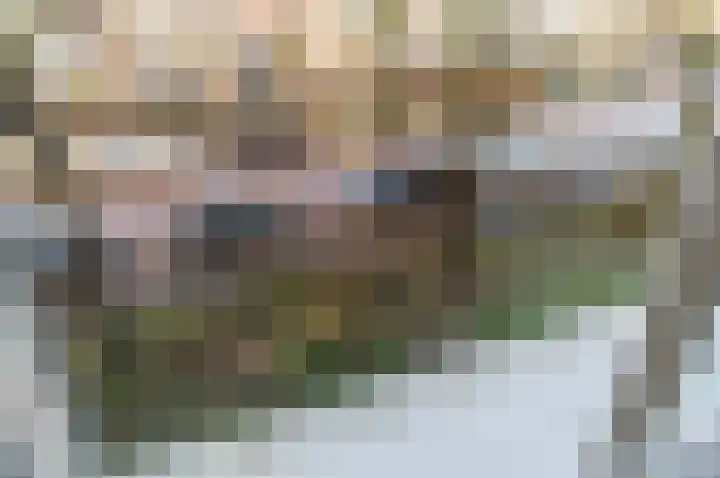 Hooftskade 71 Den Haag thumbnail 48