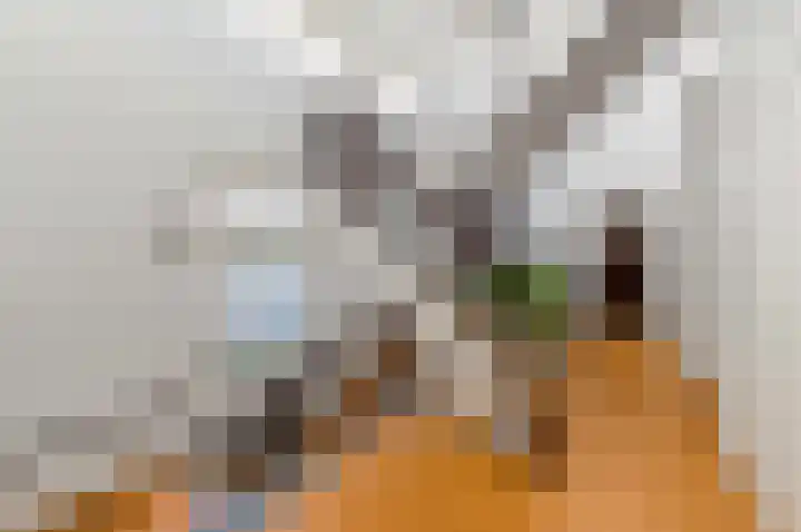 Hooftskade 71 Den Haag thumbnail 9