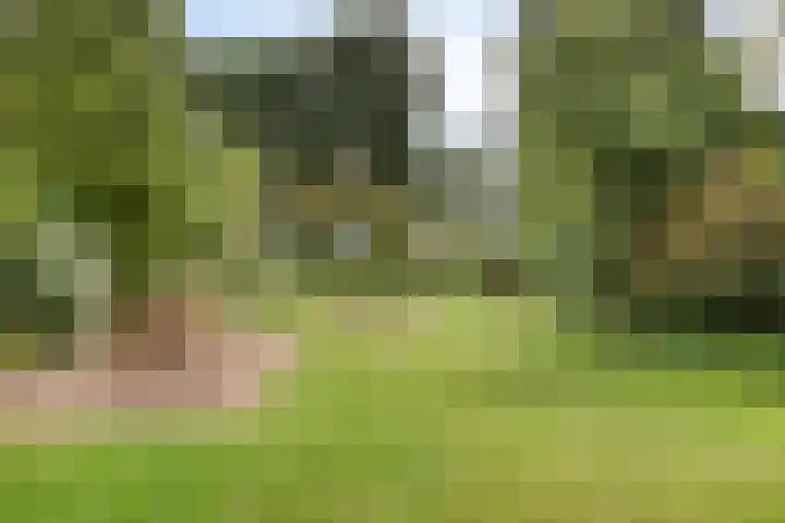 Hoog Barge 21 Eefde thumbnail 19