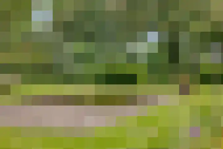 Hoog Barge 21 Eefde thumbnail 20