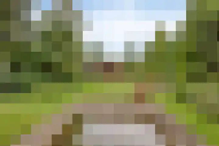 Hoog Barge 21 Eefde thumbnail 22