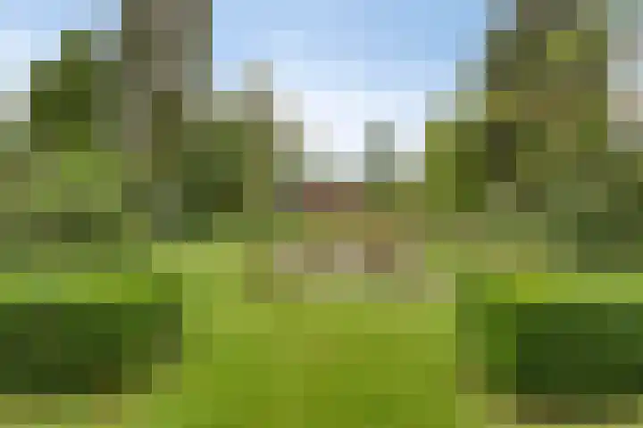 Hoog Barge 21 Eefde thumbnail 24